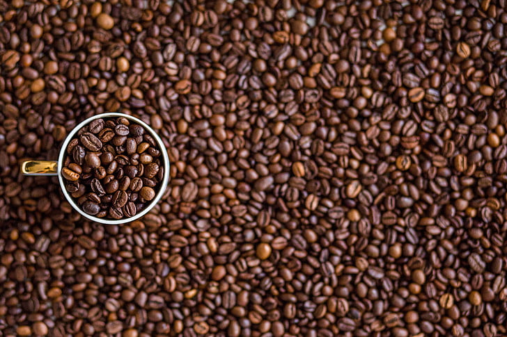 Understanding Coffee: Coffee Beans, Not “Fruit”